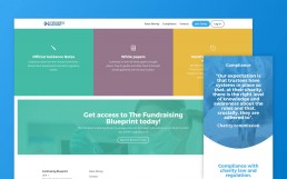 Fundraising Blueprint Website