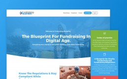 Fundraising Blueprint