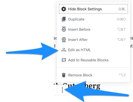 Gutenberg HTML Editor Options